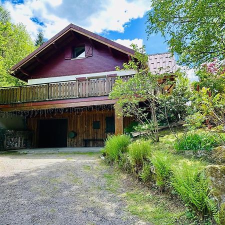 Les Cimes Blanches Cledicihome Chalet 10 Pers Spa & Grand Terrain 4 Minutes Des Pistes La Bresse Ngoại thất bức ảnh
