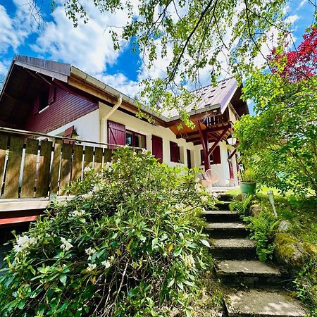 Les Cimes Blanches Cledicihome Chalet 10 Pers Spa & Grand Terrain 4 Minutes Des Pistes La Bresse Ngoại thất bức ảnh